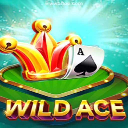 Exploring WildAce: The Thrilling Online Casino Adventure